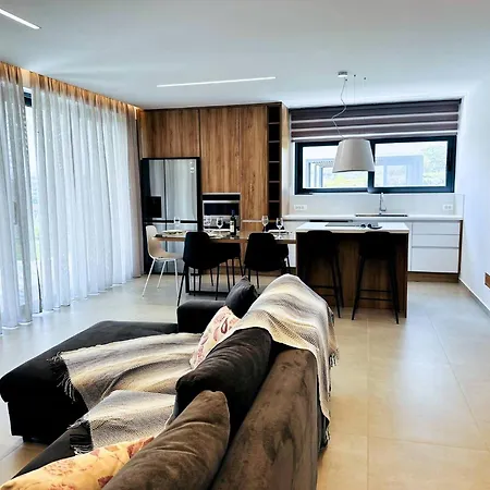 Skyline Serenity 10 People 4bedroom 3ba, 3min To Villa